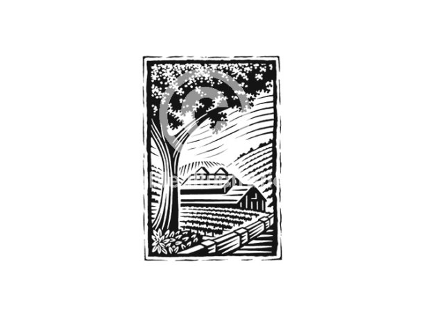 tree barn woodcut